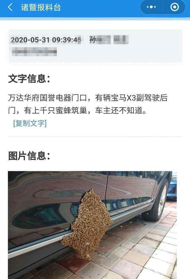 上千只蜜蜂在寶馬車上筑巢 過程真相詳細(xì)揭秘！