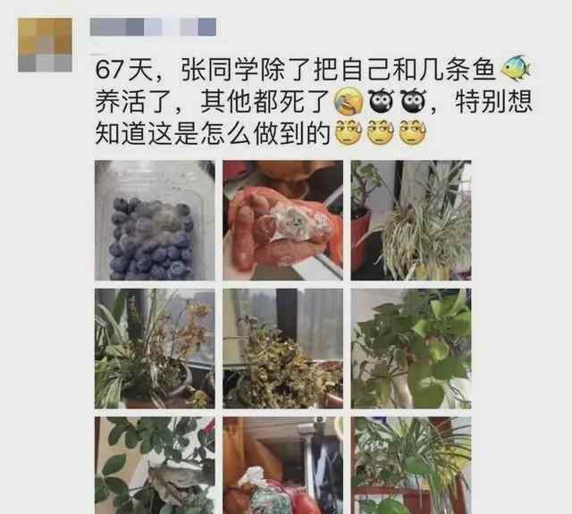 女護士援鄂67天回家后驚呆了 具體是什么情況？