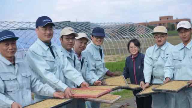 揭秘華西村：女不外嫁 開豪車種田