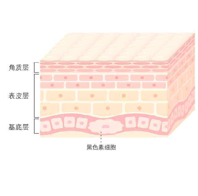 高麗雅娜 韓國(guó)原裝進(jìn)口“高麗雅娜恩沙”煥顏系列