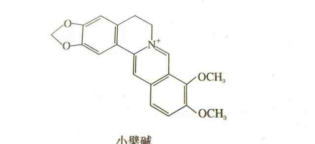 鹽酸小檗堿片 店員經(jīng)典培訓(xùn)教材：鹽酸小檗堿片與鹽酸小檗胺片的區(qū)別