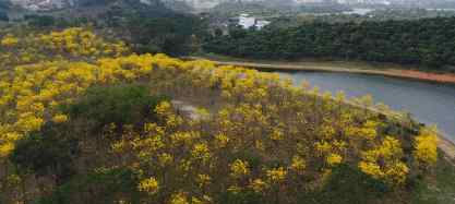 東莞火山湖 東莞自駕游10個(gè)好去處 你去了幾個(gè)？