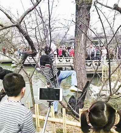 男子在景區(qū)踹天鵝 天鵝護(hù)蛋其中一只朝天空吼叫