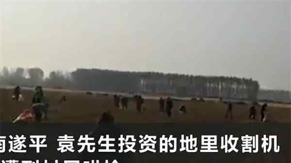 承包商收花生遭數(shù)百村民哄搶 村干部的一句話令人無言以對