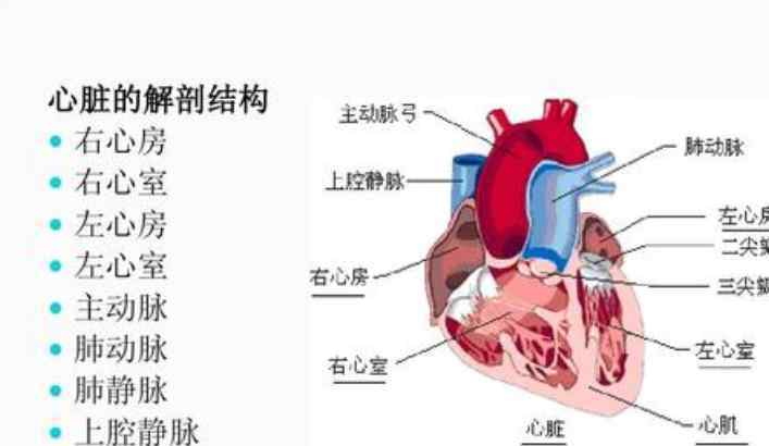 心臟支架價格是怎么降下來的 登上網(wǎng)絡(luò)熱搜了！