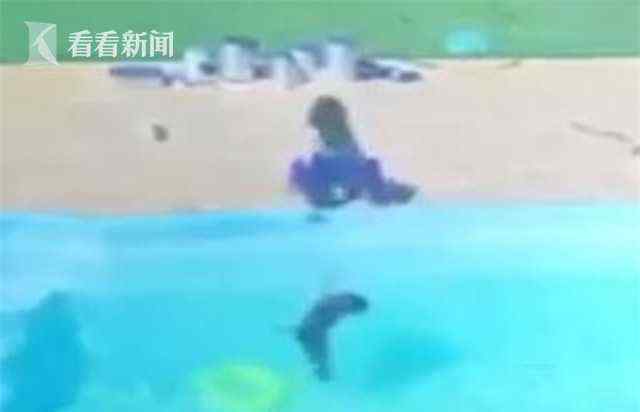 3歲男孩泳池中救出溺水好友 事件的真相是什么？