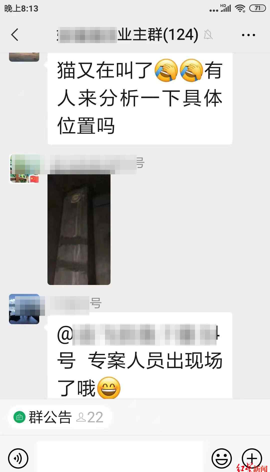 小貓跌落煙道被困37天生還！從12斤瘦到2斤 見到輸液管也想吃