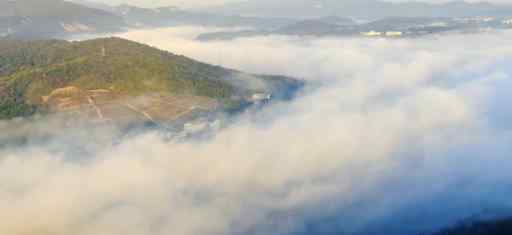 江蘇句容鄉(xiāng)村平流霧景觀似仙境 云霧繚繞如夢如幻