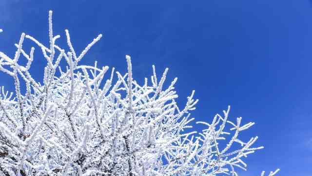 秦嶺太白山雪后霧凇美景 浪漫唯美仿佛置身冰雪童話世界