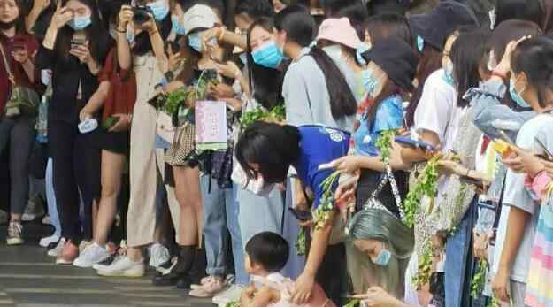 王一博粉絲拿香菜應援什么情況 具體真相讓人哭笑不得