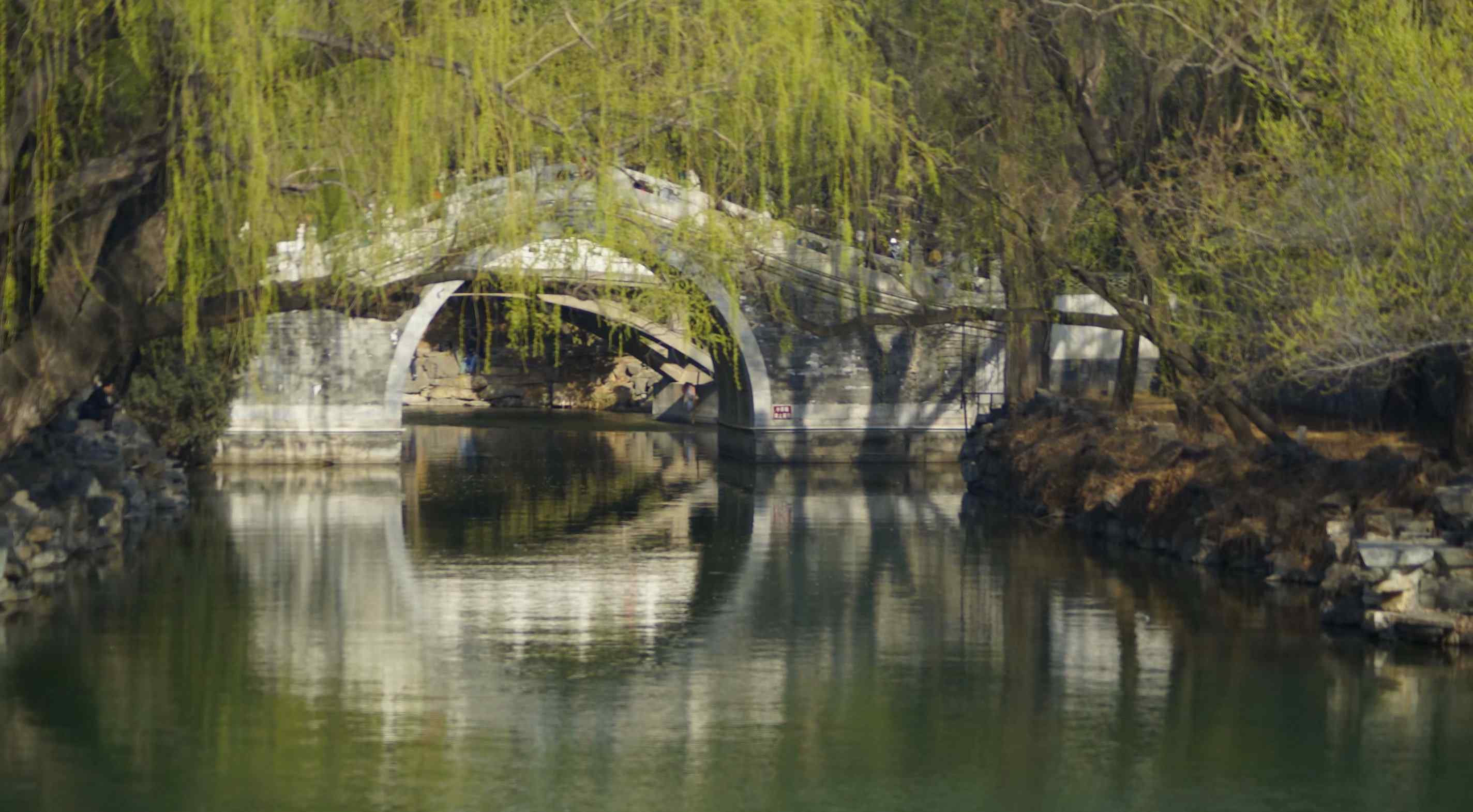 浙江師范大學(xué)研究生院 浙江省研究生院排行榜10強(qiáng)，第一名譽(yù)滿天下，第二名全國排名85