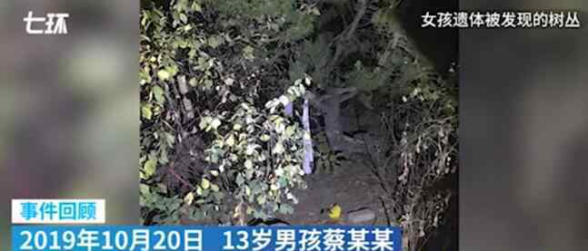 大連13歲殺人男孩父母被拘留 13歲男孩殺人拋尸事件怎么回事