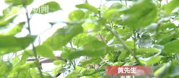 男子相親和女孩一頓吃掉1萬多 爽快結賬后對方舉動讓他著急