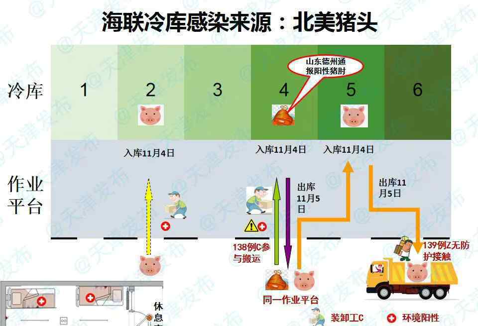 天津海聯(lián)冷庫(kù)感染來(lái)源為北美豬頭 究竟是怎么一回事？