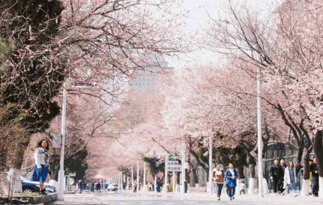 吉林大學化學學院 吉林大學，來了！