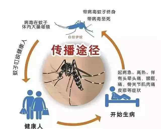 江蘇句容出現(xiàn)1例登革熱病例 哪些人群容易感染？