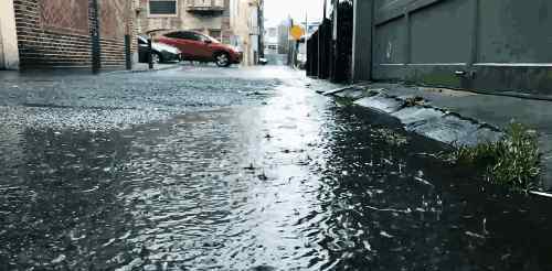 平邑天氣 頭條！雨天即將來到！平邑天氣馬上“變臉”！