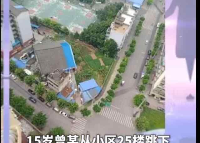 墜樓女生哥哥回應(yīng)父親冒死相接 15歲墜樓女孩曾抑郁癥怎么回事