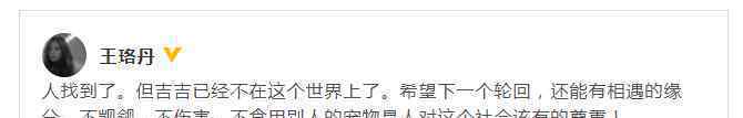 警方回應(yīng)王珞丹尋鴨啟事 若構(gòu)成犯罪無論金額多少都可立案