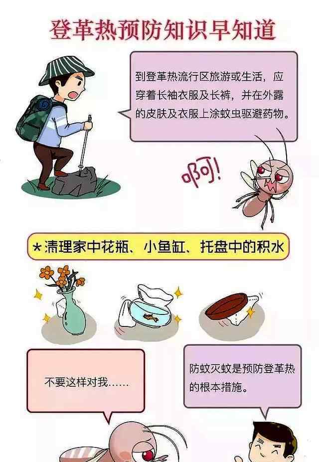 江蘇句容出現(xiàn)1例登革熱病例 哪些人群容易感染？