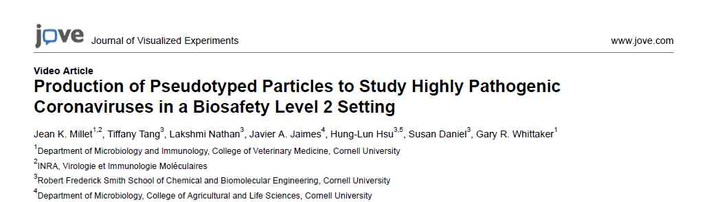 假病毒 視頻丨生產(chǎn)假病毒顆粒以研究高致病性冠狀病毒