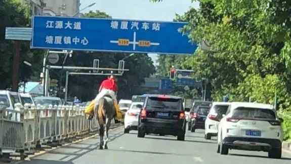 東莞男子騎馬上班被交警約談，網(wǎng)友：馬路不讓馬走？