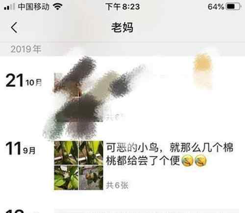 王俊凱送的棉花被粉絲媽媽種了 王俊凱粉絲為什么叫螃蟹