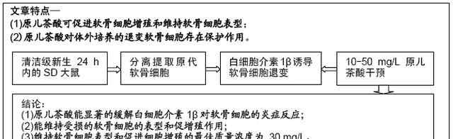 原兒茶醛 原兒茶酸可減輕退變軟骨細(xì)胞的損傷