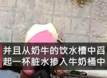 居民發(fā)現(xiàn)樓下商販在擠牛奶 意外拍到令人作嘔畫(huà)面