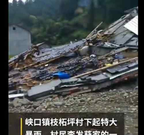 湖北村民50萬建的新房被洪水沖倒 對面房屋廢墟未清理致河水改道