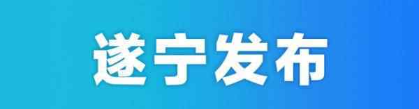 射洪教育網(wǎng) 2020年射洪市城區(qū)小學(xué)考調(diào)在編在職教師的公告出爐！轉(zhuǎn)需