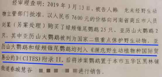 大學(xué)生售賣兩只鸚鵡一審獲刑6年 具體是怎么回事