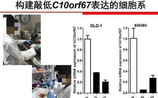 小學(xué)生研究癌癥論文一等獎(jiǎng)被撤銷 其父親過度參與