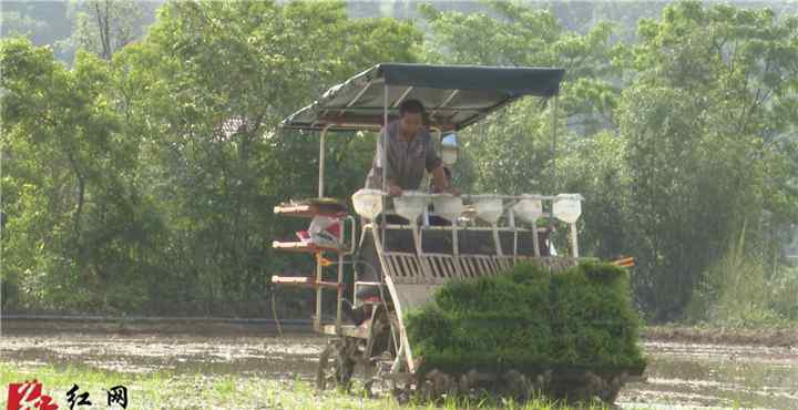 靖州新聞網(wǎng) 靖州：農(nóng)機安責險 為農(nóng)機手撐起安全“保護傘”