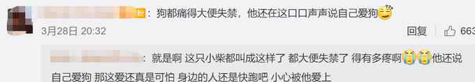 男子回應(yīng)用鐵鉗給柴犬拔牙 稱未將其致死 視頻曝光網(wǎng)友并不買賬！