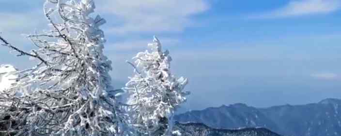 秦嶺太白山雪后霧凇美景 網(wǎng)友直呼是仙境具體長什么樣