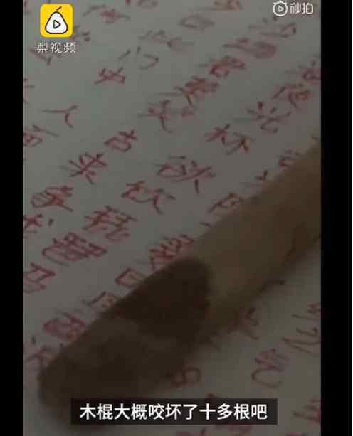 咬木棍寫小說殘疾女孩破格入作協(xié) 到底發(fā)生了什么