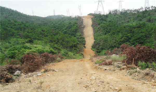 風(fēng)雨坎坷17載 東莞觀音山鳳凰涅槃再出發(fā)