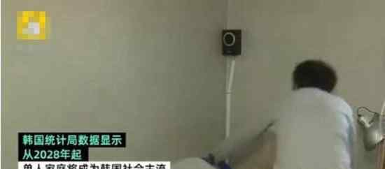 單人家庭將成主流是什么情況單人家庭是什么意思