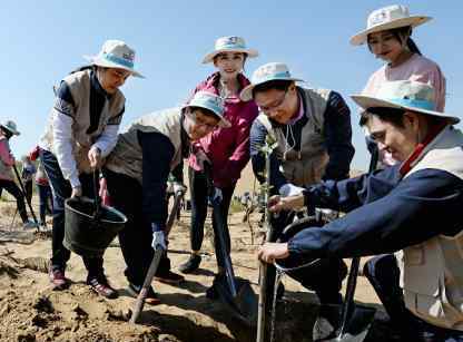 大韓航空連續(xù)第十年在內(nèi)蒙古庫布其沙漠植樹造林