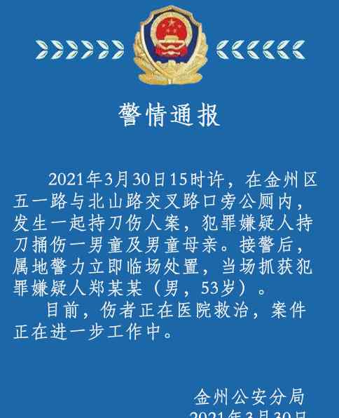 突發(fā)！大連一對(duì)母子放學(xué)路上被人在公廁持刀捅傷 警方通報(bào)！