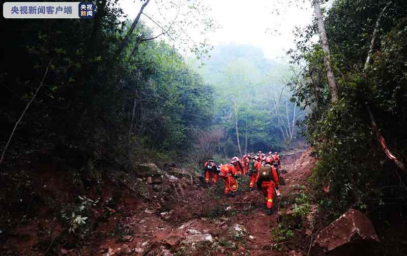 云南祿勸發(fā)生森林火災(zāi) 共投入301人參與撲救 真相到底是怎樣的？