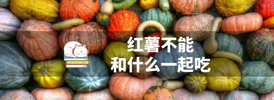 紅薯不能和什么一起吃