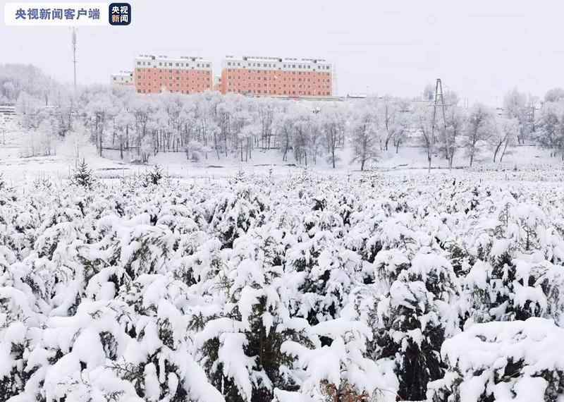 甘肅發(fā)布暴雪黃色預(yù)警 部分交通受影響