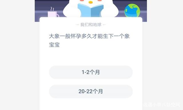 大象懷孕多久生產(chǎn) 螞蟻莊園2020年5月6日答案 大象一般懷孕多久才能生下一個(gè)象寶寶