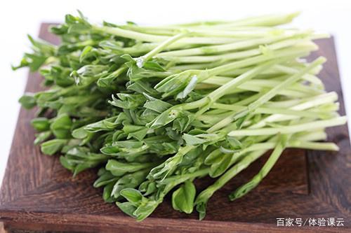 豌豆苗種植 豌豆苗怎么栽培？老菜農(nóng)教你幾招，感覺比想象中簡單多了！