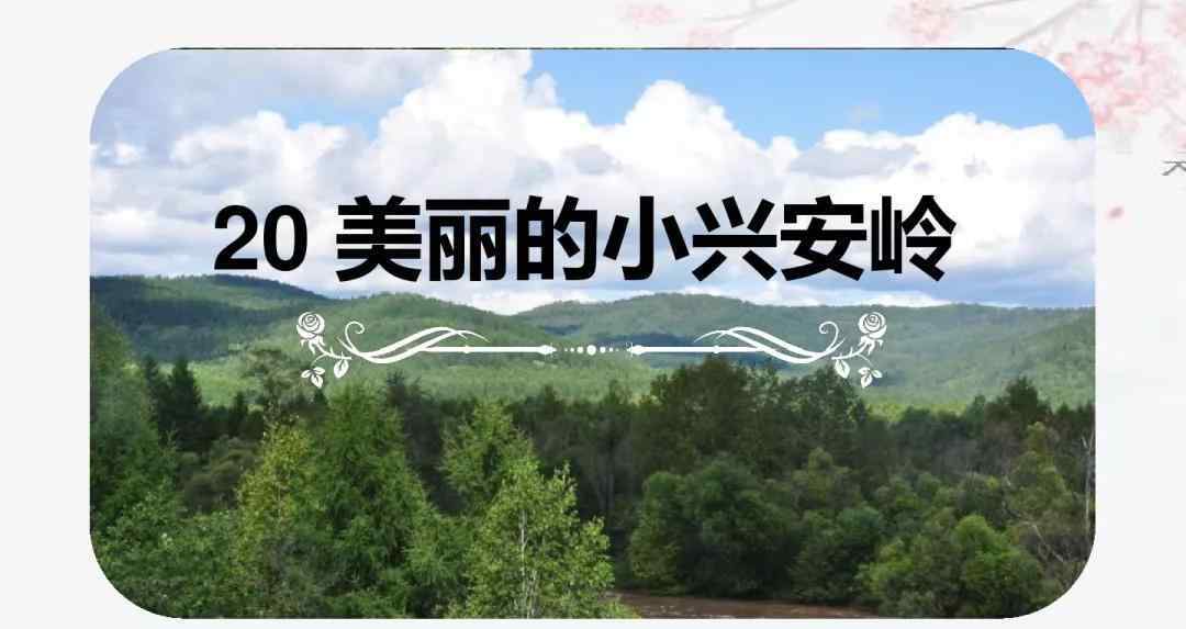 美麗的小興安嶺 部編版三年級(jí)上冊(cè)第20課《美麗的小興安嶺》知識(shí)點(diǎn)+圖文解讀