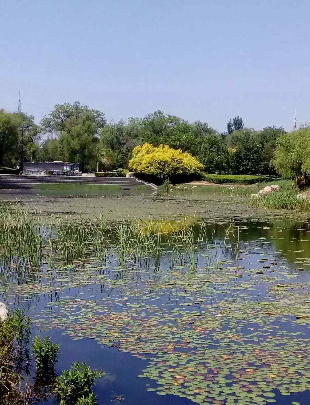 孤帆遠(yuǎn)影碧空盡唯見(jiàn)長(zhǎng)江天際流的意思 「詩(shī)詞日歷」孤帆遠(yuǎn)影碧空盡，唯見(jiàn)長(zhǎng)江天際流。