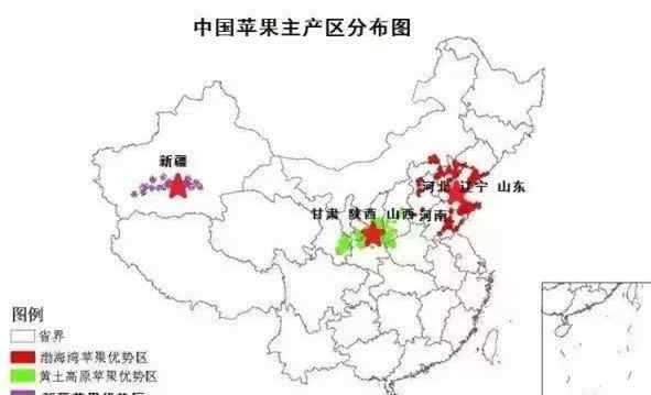 陜西蘋果 一個(gè)陜西蘋果的自白