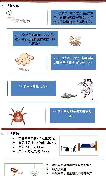 出血熱癥狀 讓我們一起來認識什么是流行性出血熱